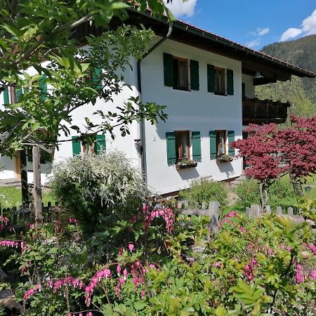 Ferienwohnungen Asterbach Gosau Exterior foto