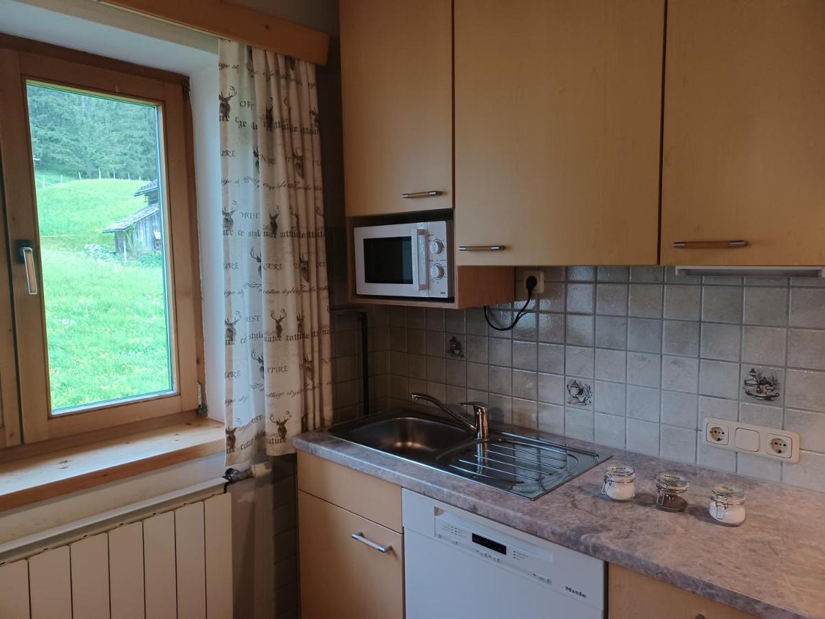 Ferienwohnungen Asterbach Gosau Exterior foto