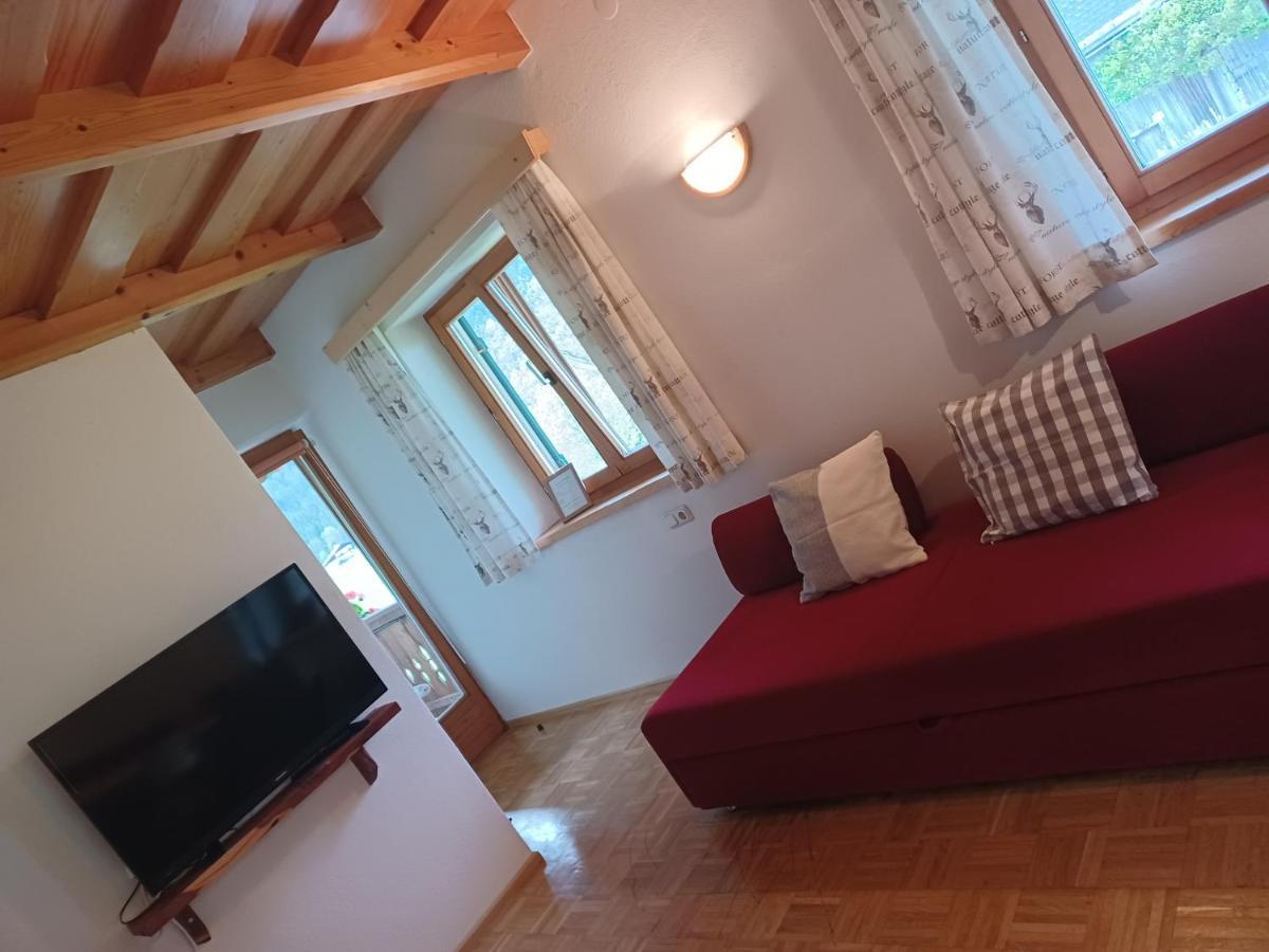 Ferienwohnungen Asterbach Gosau Exterior foto