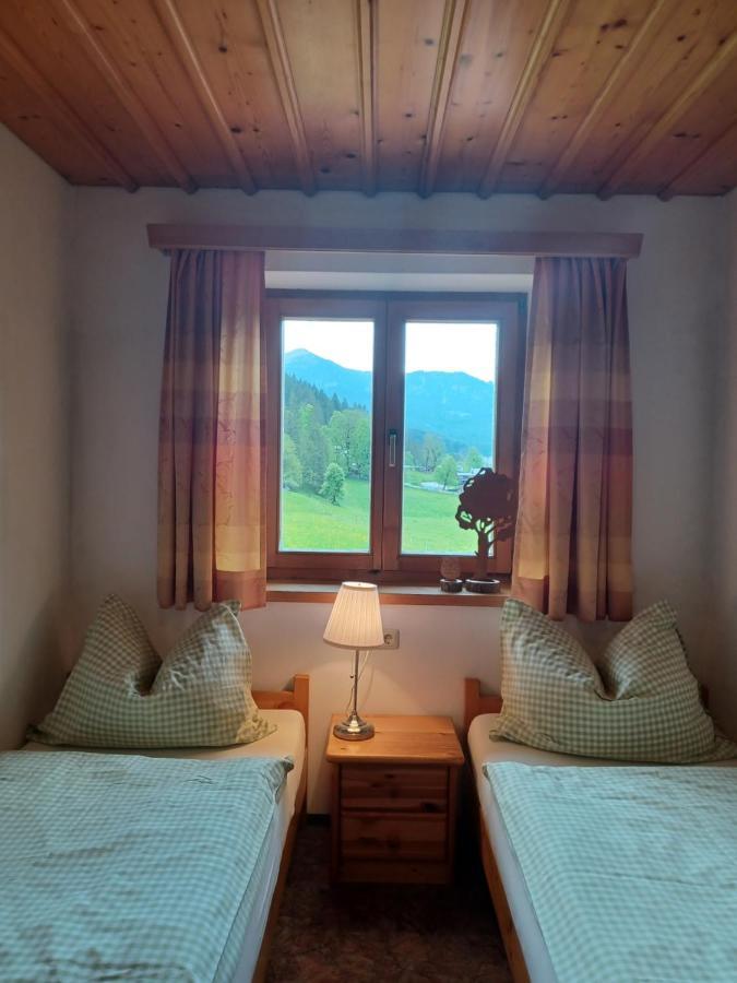 Ferienwohnungen Asterbach Gosau Exterior foto