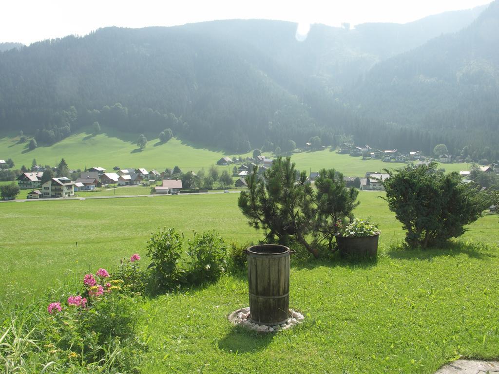 Ferienwohnungen Asterbach Gosau Exterior foto