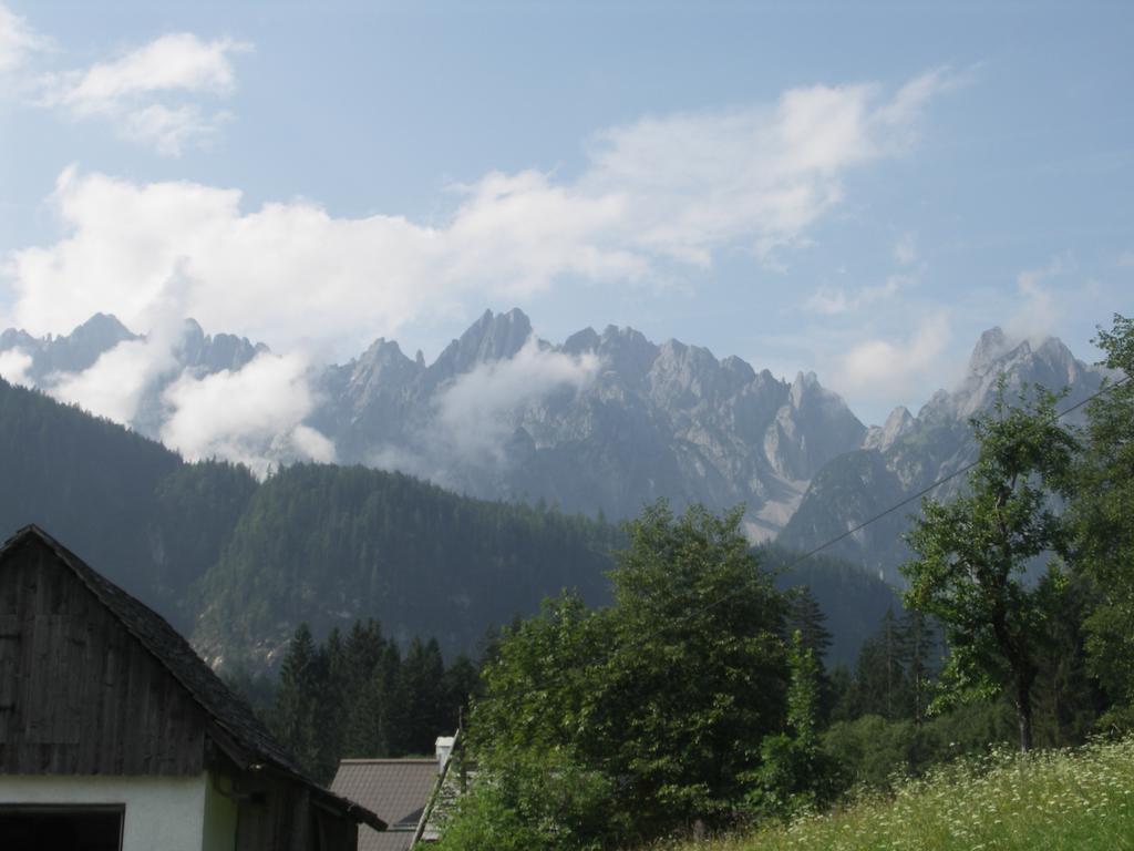 Ferienwohnungen Asterbach Gosau Exterior foto